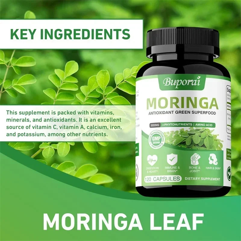 Capsules de Moringa - Antioxyd - Moringa Leaf Powder avis et prix